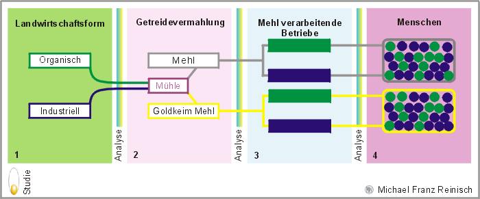 /images/goldkeim-studie.jpg